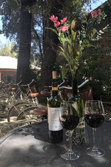 There is a lovely outdoor area at Viña Cousiño Macul to enjoy wine you can order from the bar.