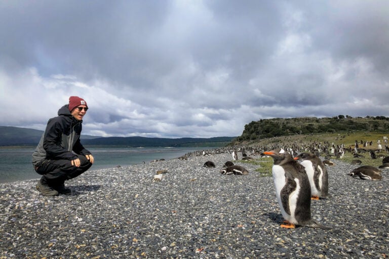 Dan kneels near penguins on an Ushuaia penguins tour
