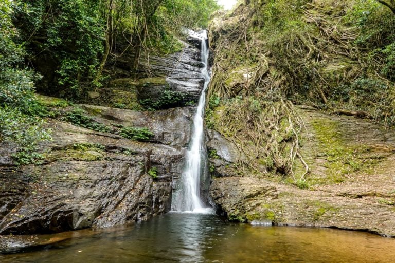 Cascade Falls: The Cascades Walk Ultimate Guide