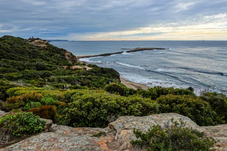 4 Great Lake Macquarie Walking Trails in a Day