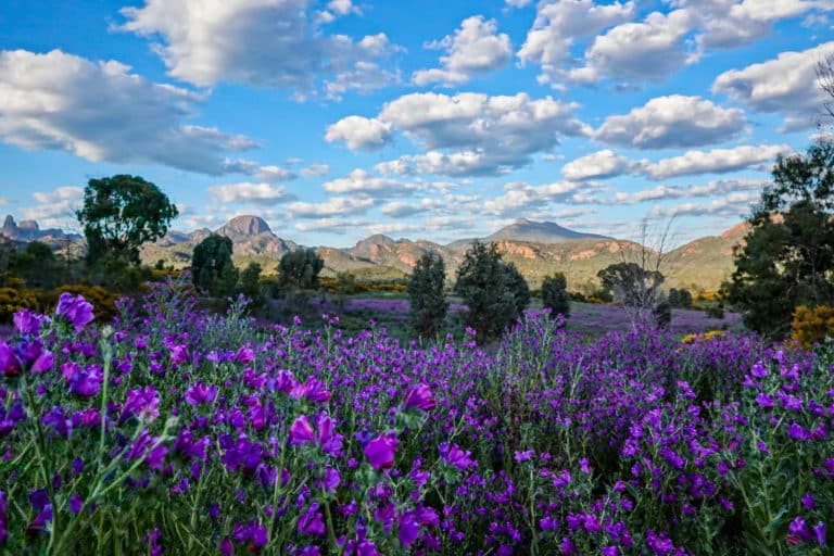 Hiking The Warrumbungles Breadknife and Grand High Tops Walk