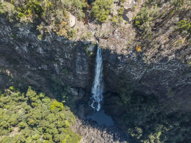 Ellenborough Falls Walk NSW: The Ultimate Guide