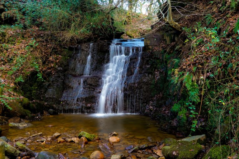 Tigers Clough