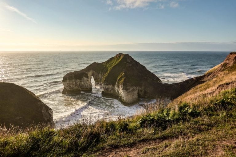 The Drinking Dinosaur at Flamborough Head, near the Flamborough Cliffs