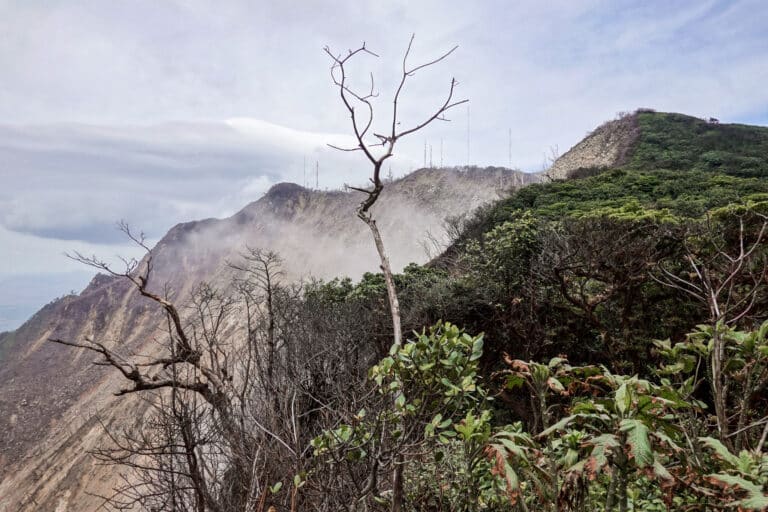 Views of the dead forest and cloud forest at Mombacho Volcano Nature Reserve