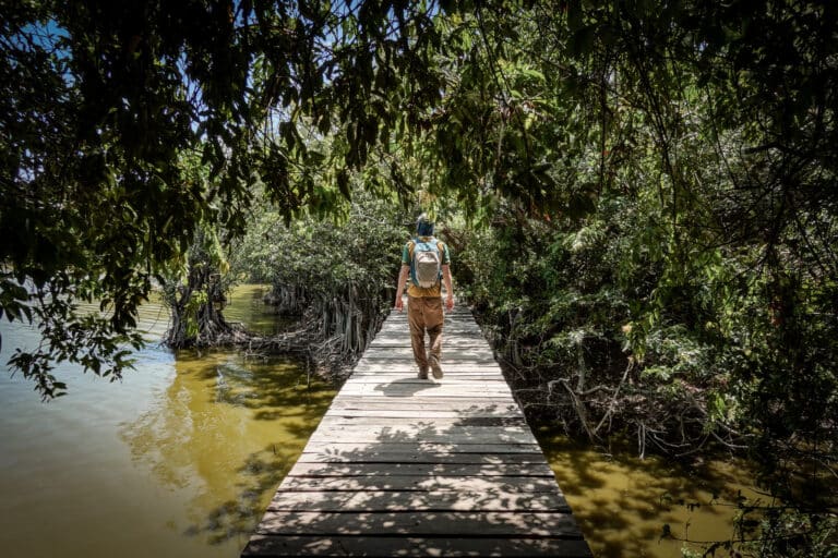 Dan walks across the mangrove boardwalk at Charco Verde Ometepe
