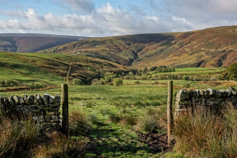 Forest of Bowland, near the Trough of Bowland
