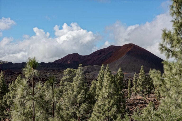 Chinyero Volcano (Volcan Chinyero) loop in Reserva Natural Especial del Chinyero.