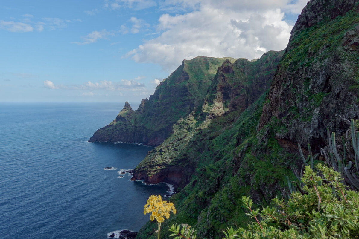 Insider Tips About Visiting the Anaga Rural Park In Tenerife ([date ...