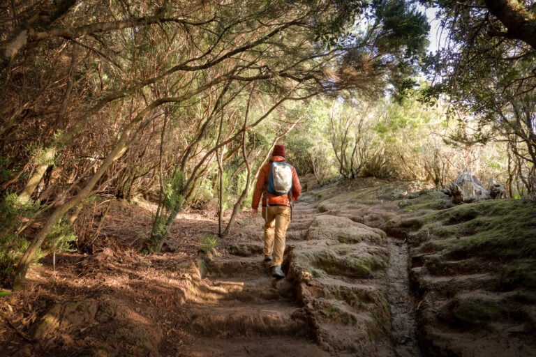 Dan walks on Sendero de los Sentidos in Anaga, Tenerife, near Mirador Cruz del Carmen and Sendero Hija Cambada