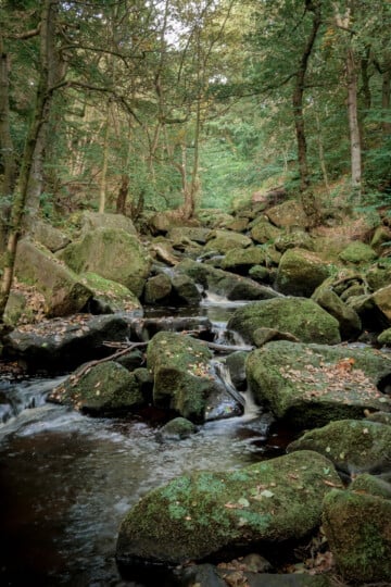Padley Gorge in the Peak District