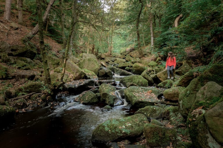 Padley Gorge in the Peak District