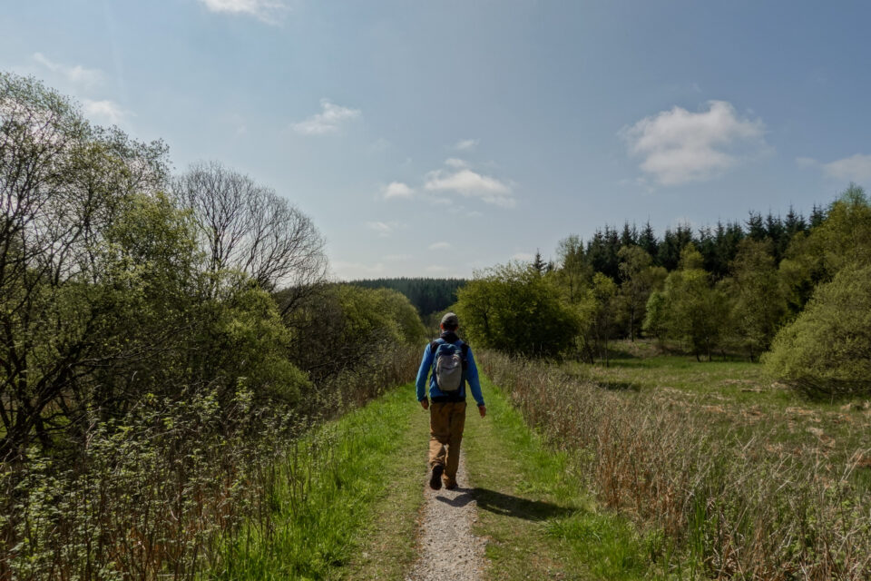 Gisburn Forest: The Ultimate Guide (MTB, Walks and the Waterfall)