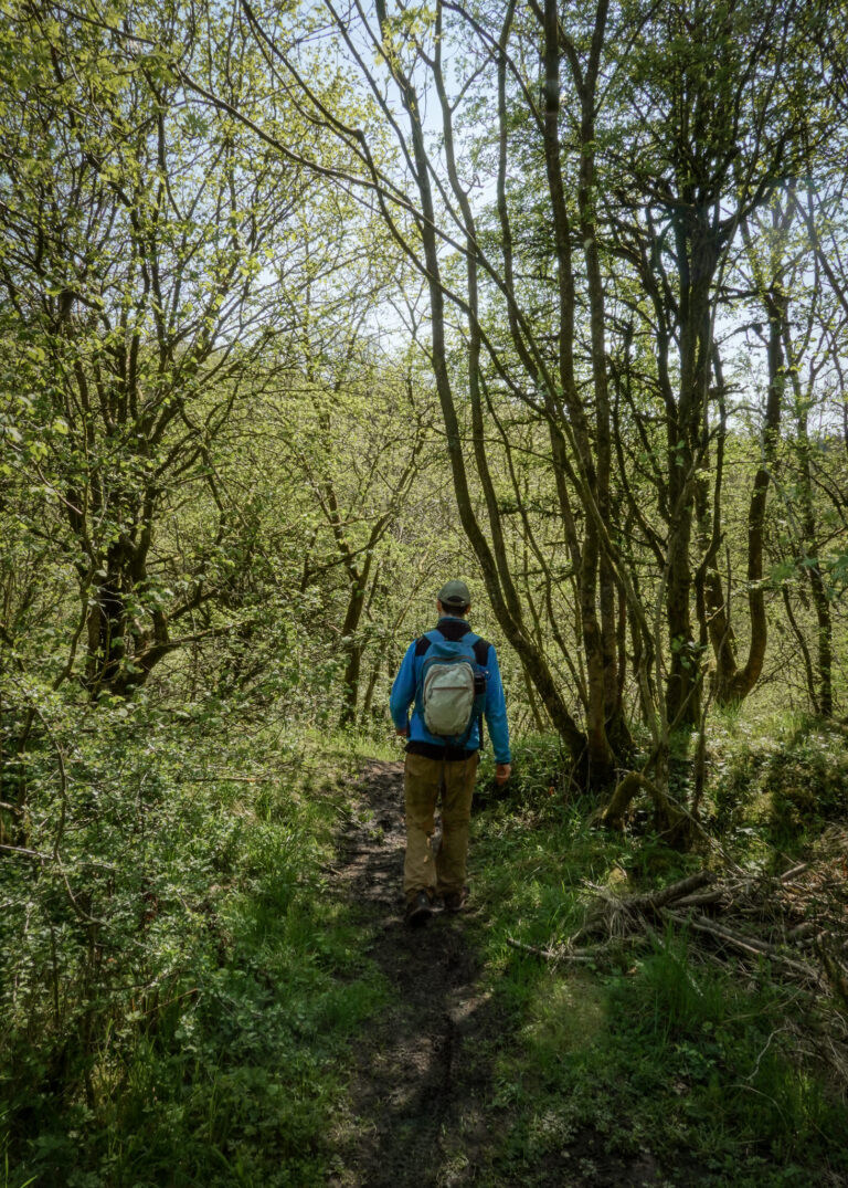 Gisburn Forest: The Ultimate Guide (MTB, Walks and the Waterfall)