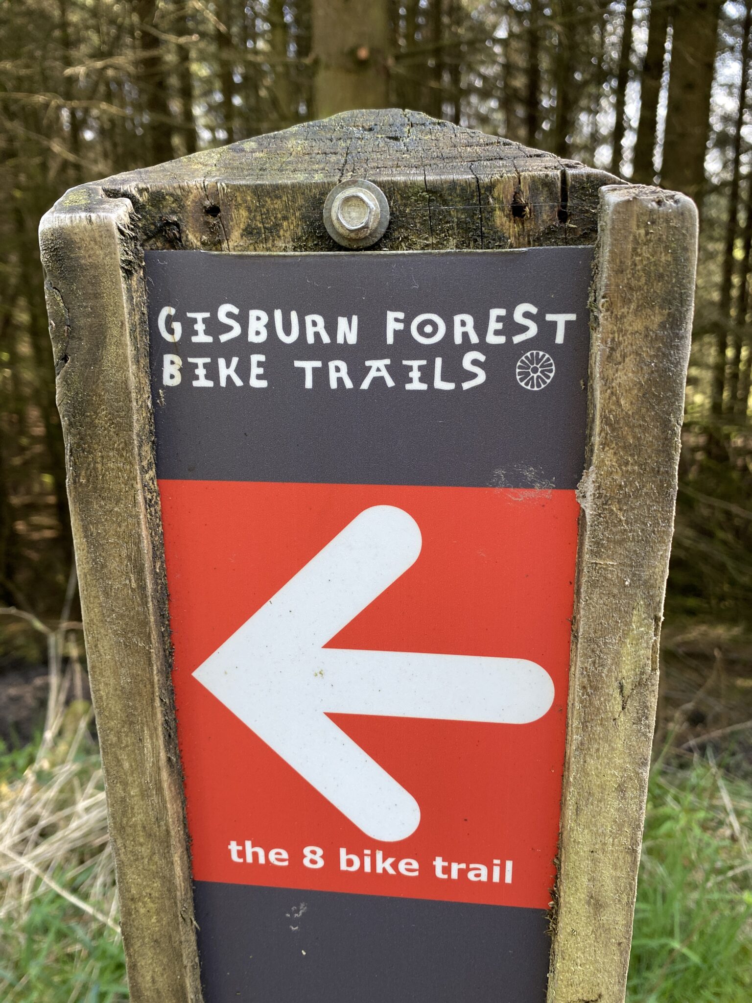 Gisburn Forest: The Ultimate Guide (MTB, Walks and the Waterfall)