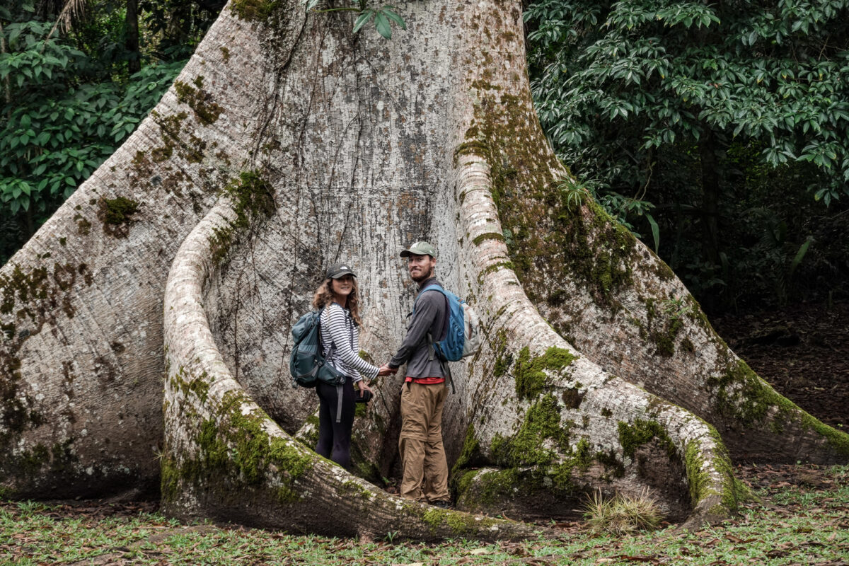 Fforest Ridge Mountain Pine Ridge Forest Reserve: The 9 BEST Things to Do