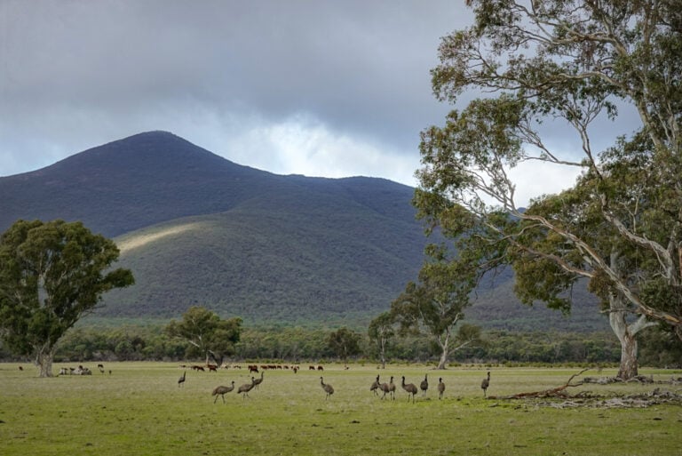 Fyans Creek, Halls Gap