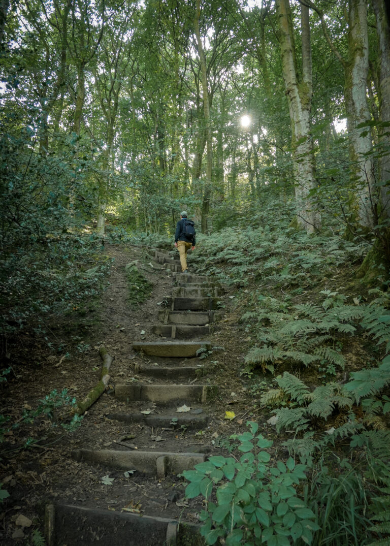 Otley Chevin Forest Park: The Ultimate Visitor's Guide