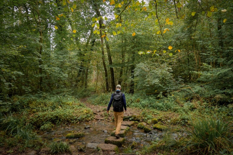Dan at Hackfall Woods