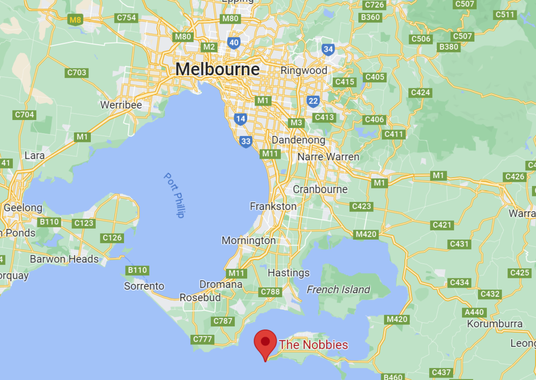 The Nobbies Boardwalk, Phillip Island The Complete Guide