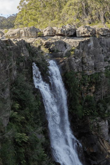 Carrington Falls