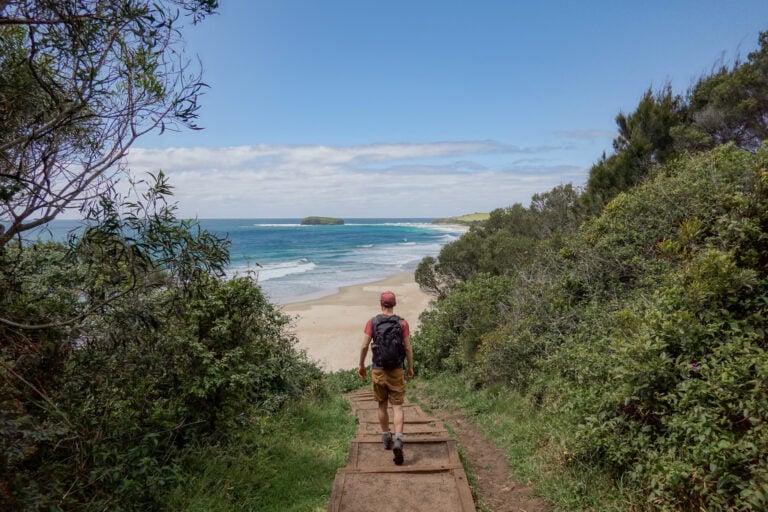 Dan walks on a trail descending to a beach called Minnamurra Beach in Killalea Regional Park.