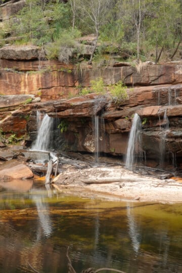 A small waterfall with several streams called Winifred Falls near South West Arm Pools and Anice Falls in the Royal National Park