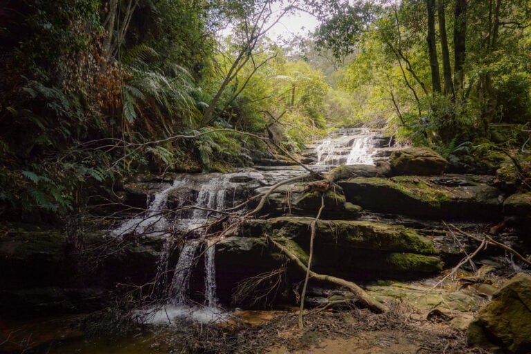 Small cascades called Leura Cascades seen on a walk called the Leura Cascades Walking Track