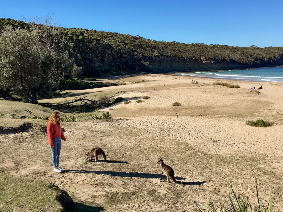 Murramarang National Park: Best Beaches, Hikes and Camping
