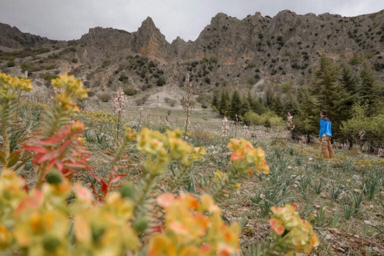Dan looks at jagged rocky mountains in the Madonie Mountains in Sicily