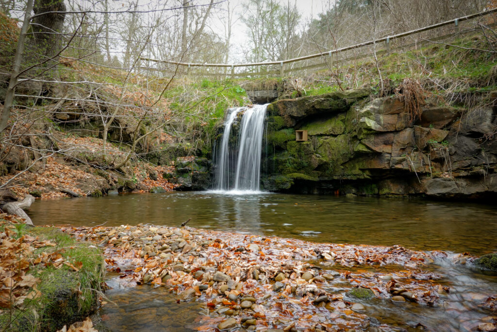 A small waterfall called Blow Gill Waterfall cascades into a small pool in the North York Moors.