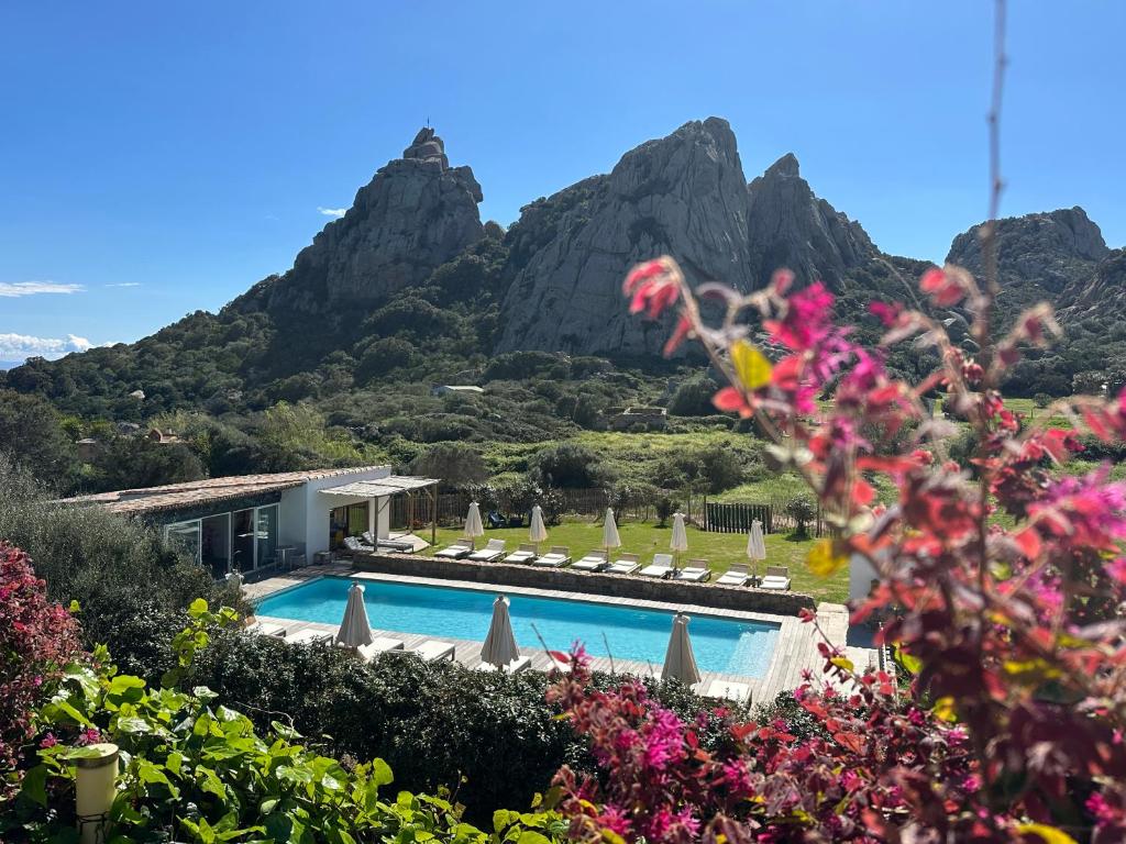 A pool surrounded by mountains and flowers