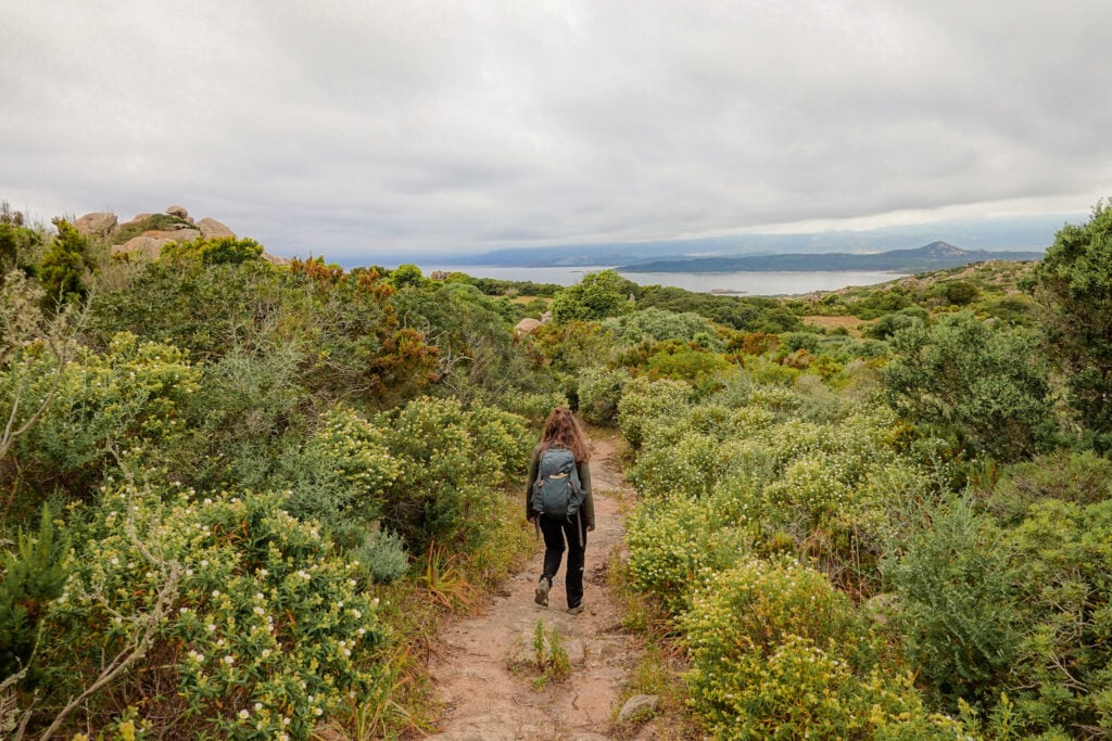 Beck hikes on an overcast day on a dirt trail surrounded by greenery on a trail called Sentier de Fenu on a cape called Capo di Fenu in Bonifacio