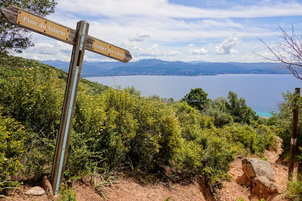 A sign on a trail pointing to both Monte Salario and Sentier des Crêtes Ajaccio