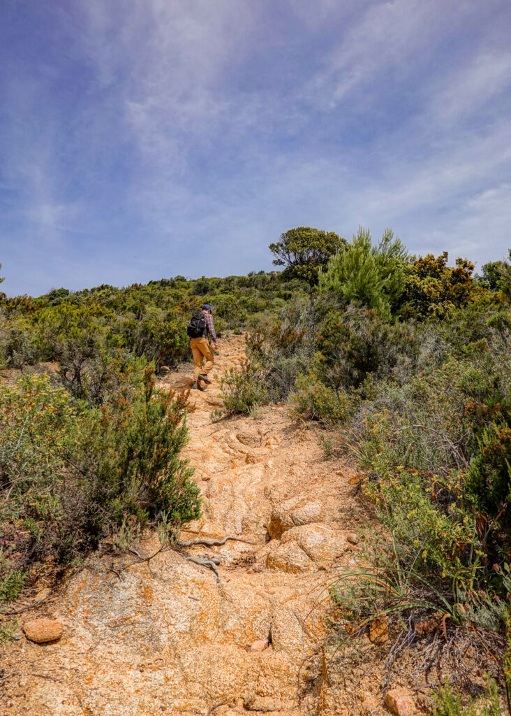 Dan walks up a trail towards another trail called Sentier des Crêtes Ajaccio