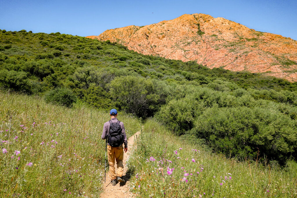 Dan walks on a narrow trail approaching a dense area of shrubland during the Capo Rosso Hiking Trail