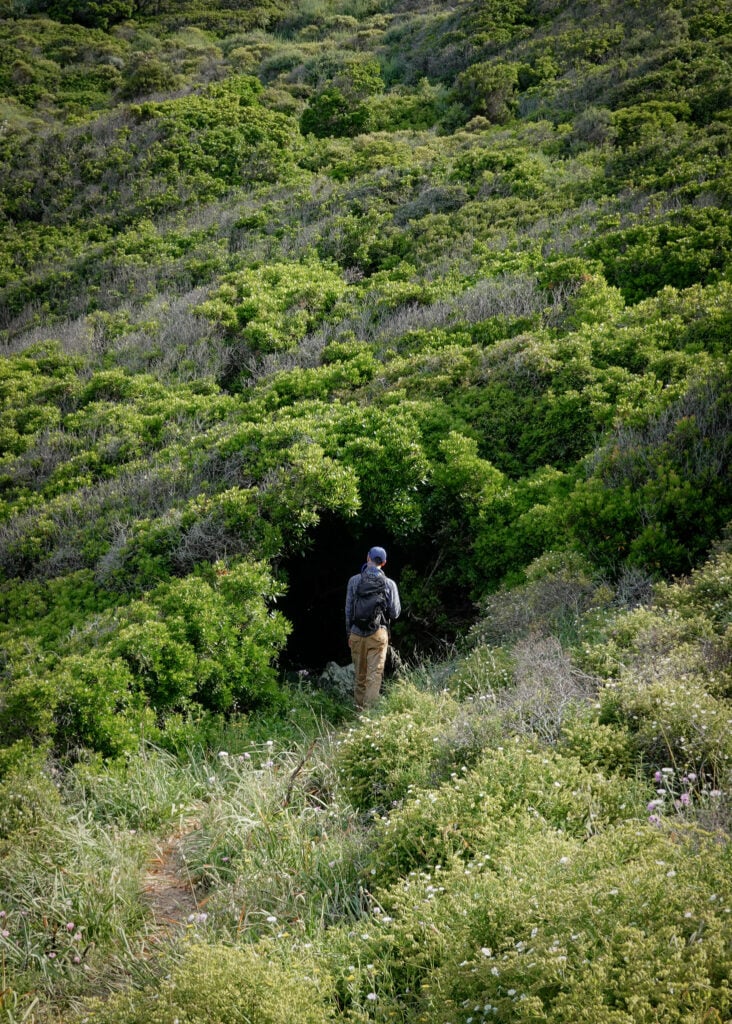 Dan is about to enter a forested area during a walk in Corsica called Sentier des Douaniers Cap Corse