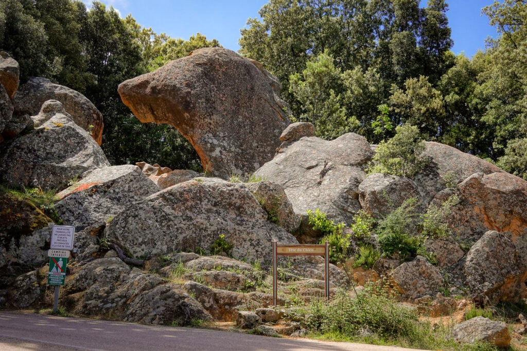 A rock shaped like a dog's head seen at the start of walk called Sentier du Château Fort Piana