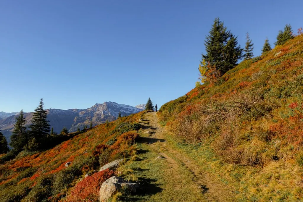 Dan on the Madrisa Hike to Ratschenhorn