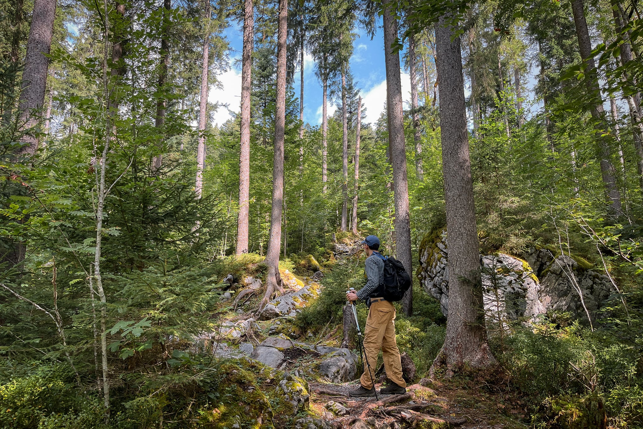 Dan stands in a forested area during a hike called Ahornen Rundweg