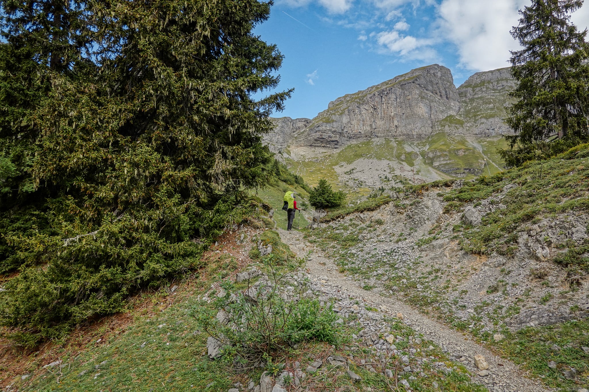 Beck with a child carrier next to trees in a mountainous area during a walk called Braunwald Panoramaweg