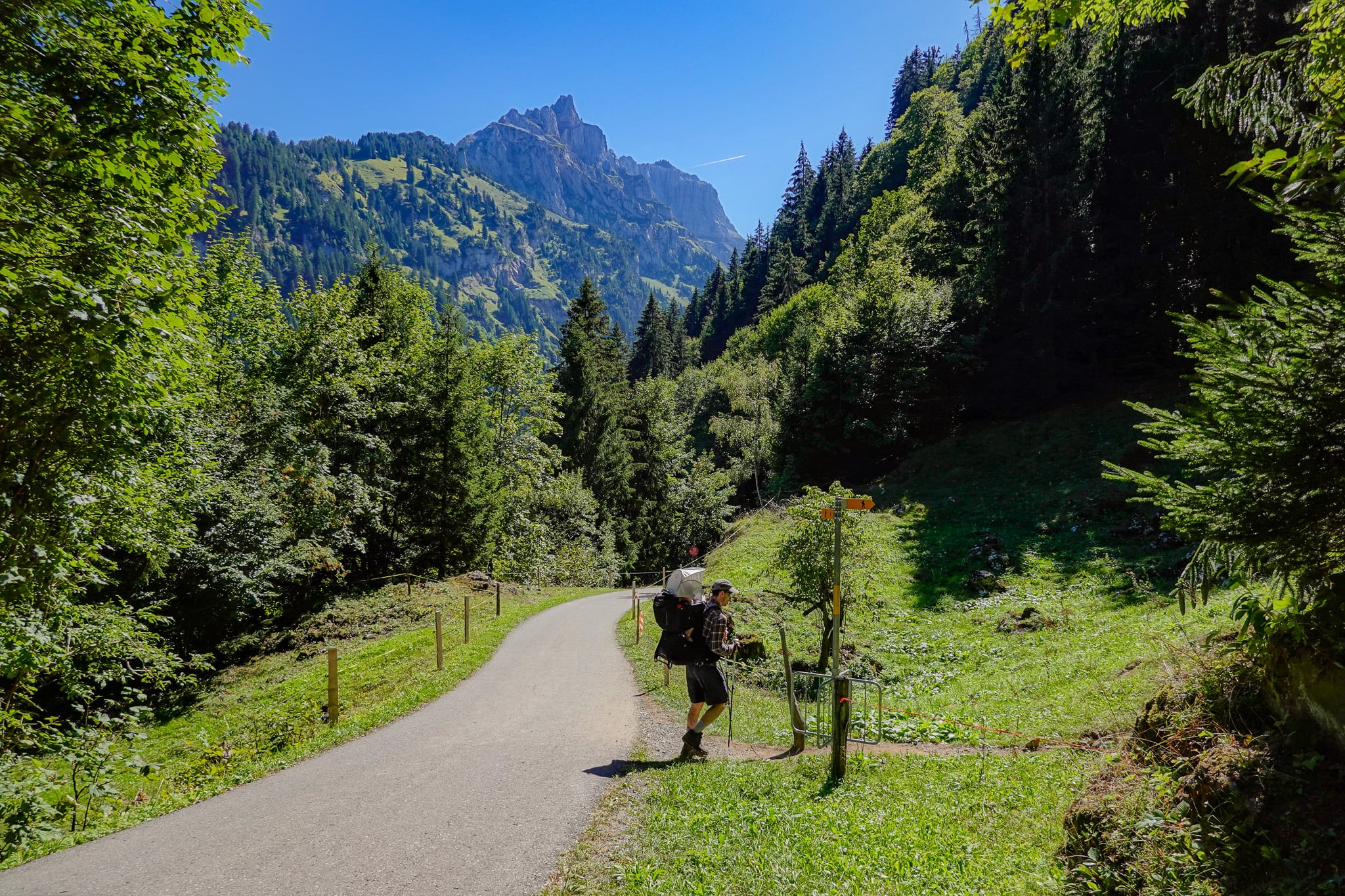 Dan follows a trail towards forest during the Habergschwänd Talalpsee Hike