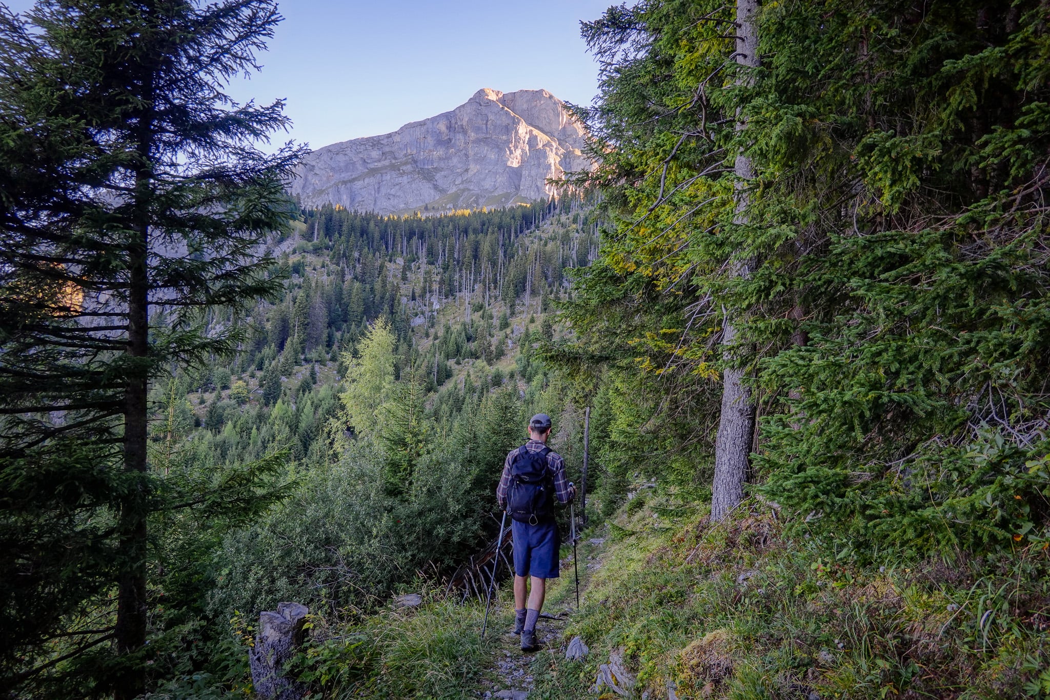 Dan walks on along a forested trail during the Holzflue Rundweg