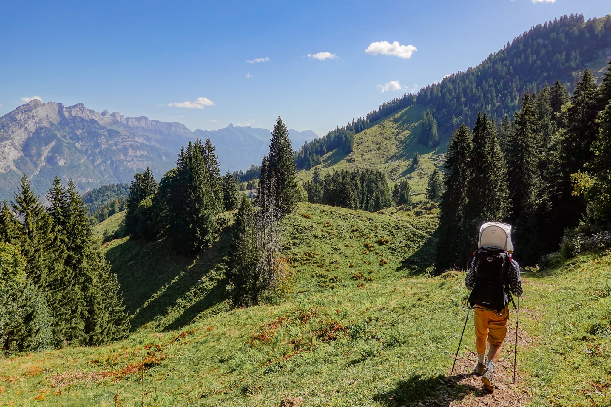 Dan with a child carrier backpack descends a trail surrounded by rolling green hills and trees during the Schabziger Höhenweg