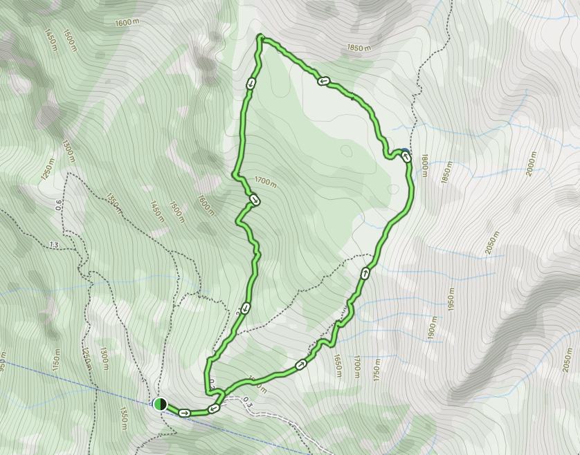 A screenshot of the map shoeing the loop trail of Holzflue Rundweg